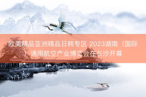 欧美精品亚洲精品日韩专区 2023湖南（国际）通用航空产业博览会在长沙开幕