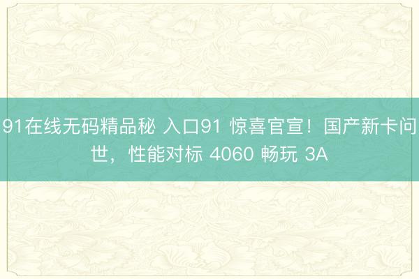 91在线无码精品秘 入口91 惊喜官宣！国产新卡问世，性能对标 4060 畅玩 3A