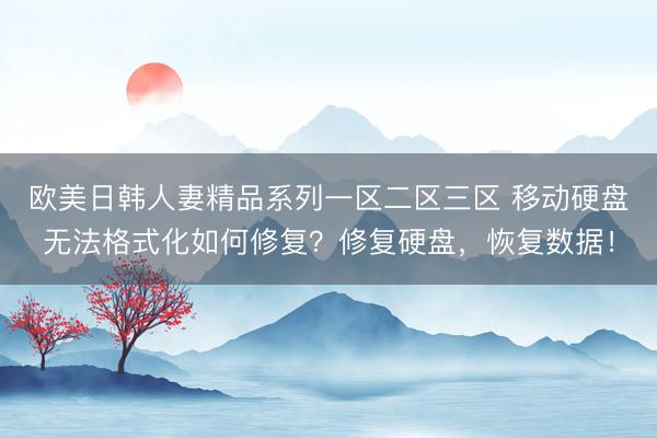 欧美日韩人妻精品系列一区二区三区 移动硬盘无法格式化如何修复？修复硬盘，恢复数据！
