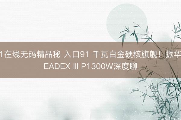 91在线无码精品秘 入口91 千瓦白金硬核旗舰！振华LEADEX III P1300W深度聊