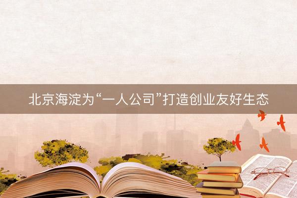 北京海淀为“一人公司”打造创业友好生态