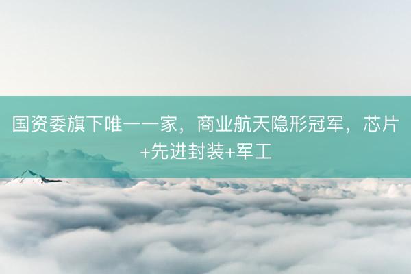 国资委旗下唯一一家，商业航天隐形冠军，芯片+先进封装+军工