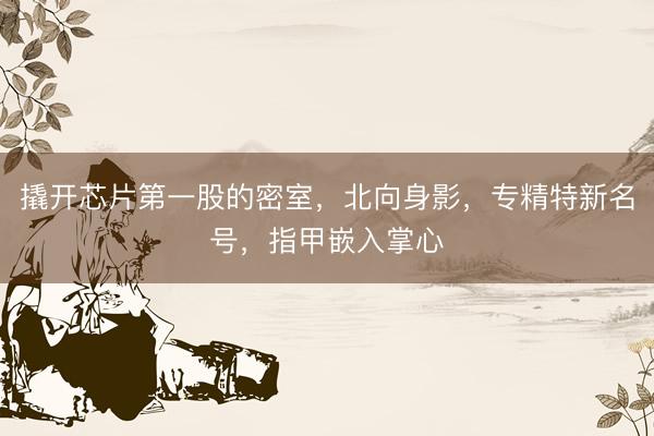 撬开芯片第一股的密室，北向身影，专精特新名号，指甲嵌入掌心