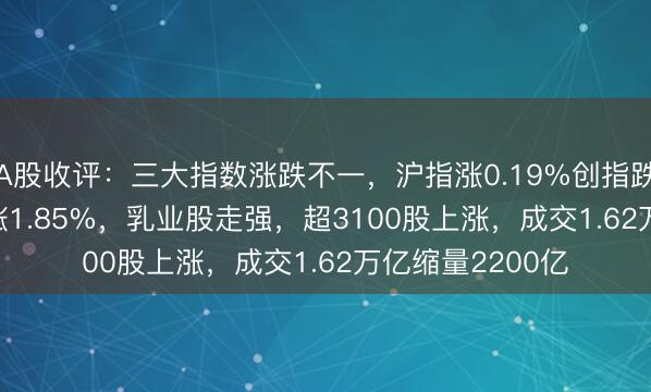 A股收评：三大指数涨跌不一，沪指涨0.19%创指跌0.52%北证50涨1.85%，乳业股走强，超3100股上涨，成交1.62万亿缩量2200亿