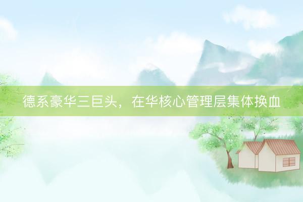 德系豪华三巨头，在华核心管理层集体换血