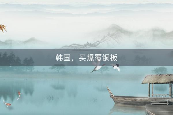 韩国，买爆覆铜板