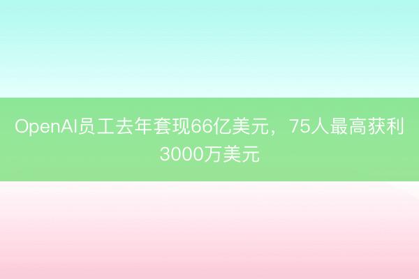OpenAI员工去年套现66亿美元，75人最高获利3000万美元
