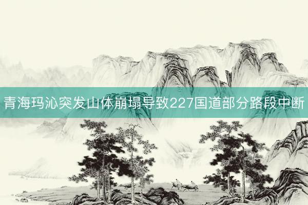 青海玛沁突发山体崩塌导致227国道部分路段中断