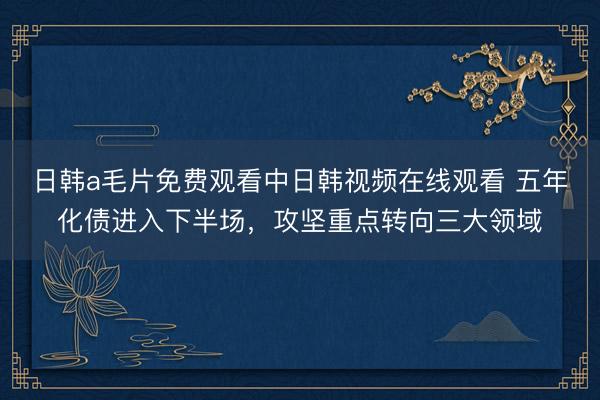 日韩a毛片免费观看中日韩视频在线观看 五年化债进入下半场，攻坚重点转向三大领域