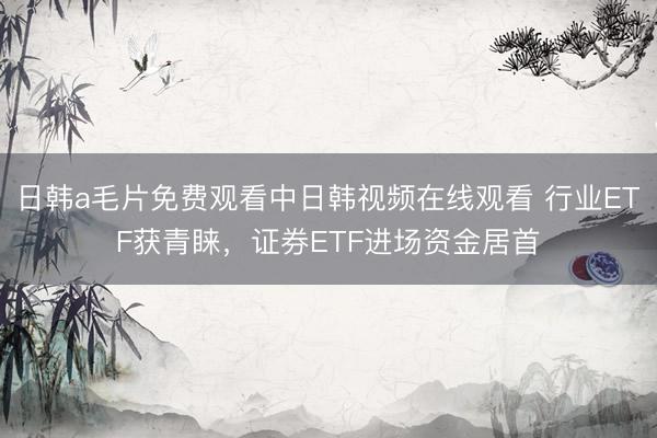 日韩a毛片免费观看中日韩视频在线观看 行业ETF获青睐，证券ETF进场资金居首