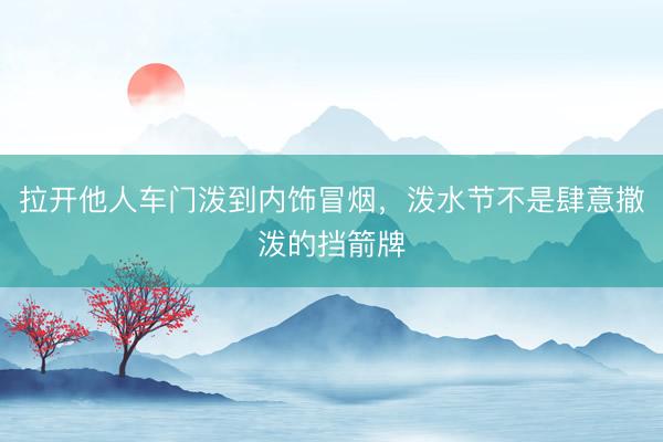 拉开他人车门泼到内饰冒烟，泼水节不是肆意撒泼的挡箭牌