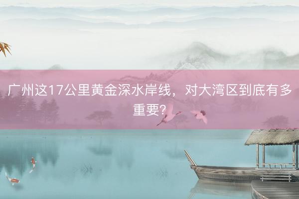 广州这17公里黄金深水岸线，对大湾区到底有多重要？
