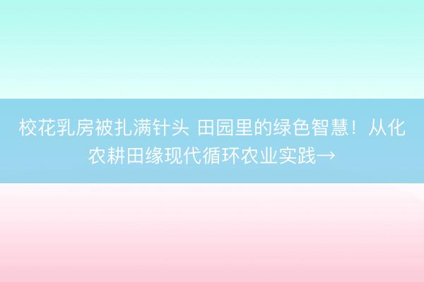 校花乳房被扎满针头 田园里的绿色智慧！从化农耕田缘现代循环农业实践→