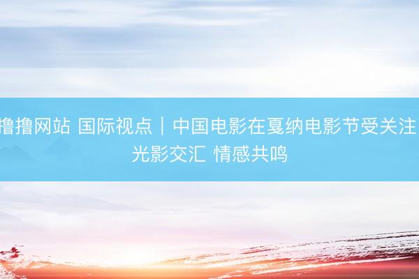 撸撸网站 国际视点｜中国电影在戛纳电影节受关注：光影交汇 情感共鸣