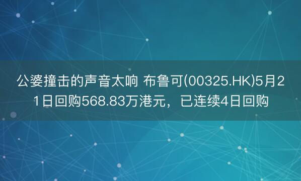 公婆撞击的声音太响 布鲁可(00325.HK)5月21日回购568.83万港元，已连续4日回购