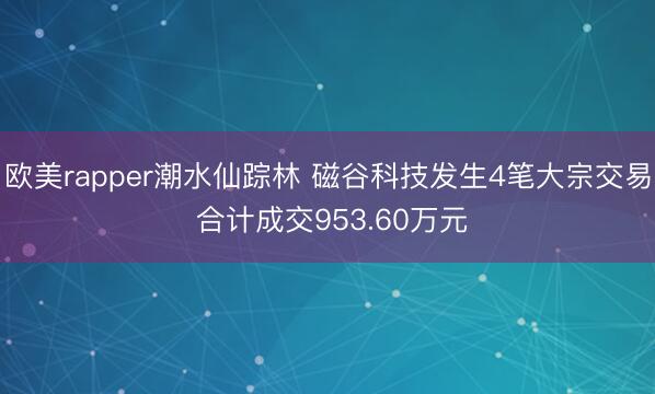 欧美rapper潮水仙踪林 磁谷科技发生4笔大宗交易 合计成交953.60万元