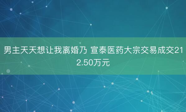男主天天想让我离婚乃 宣泰医药大宗交易成交212.50万元