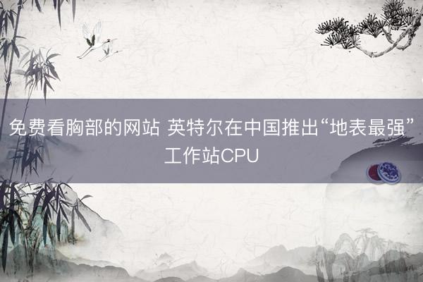 免费看胸部的网站 英特尔在中国推出“地表最强”工作站CPU