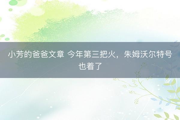 小芳的爸爸文章 今年第三把火，朱姆沃尔特号也着了