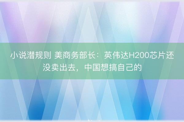 小说潜规则 美商务部长：英伟达H200芯片还没卖出去，中国想搞自己的