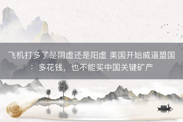 飞机打多了是阴虚还是阳虚 美国开始威逼盟国：多花钱，也不能买中国关键矿产