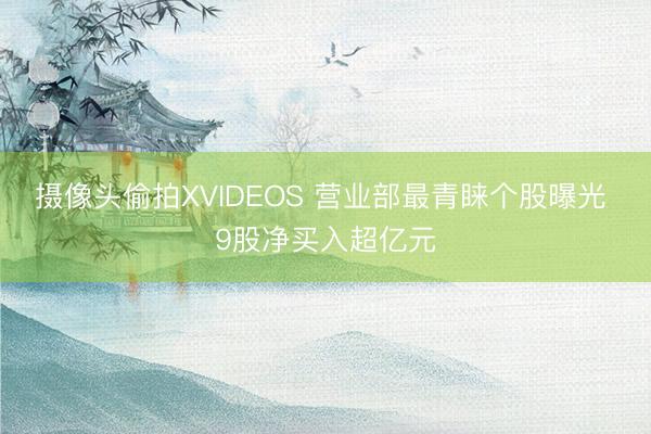 摄像头偷拍XVIDEOS 营业部最青睐个股曝光 9股净买入超亿元