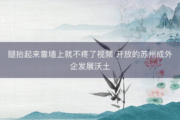 腿抬起来靠墙上就不疼了视频 开放的苏州成外企发展沃土