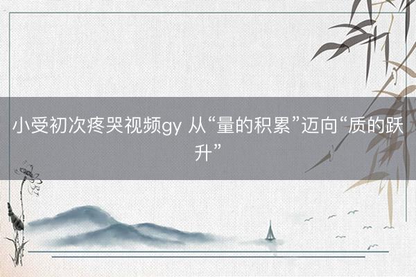 小受初次疼哭视频gy 从“量的积累”迈向“质的跃升”