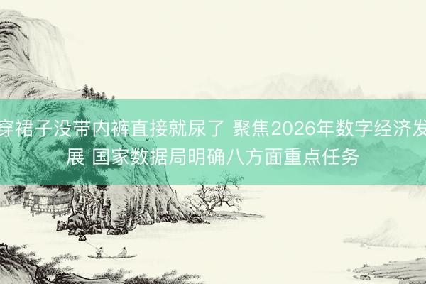 穿裙子没带内裤直接就尿了 聚焦2026年数字经济发展 国家数据局明确八方面重点任务