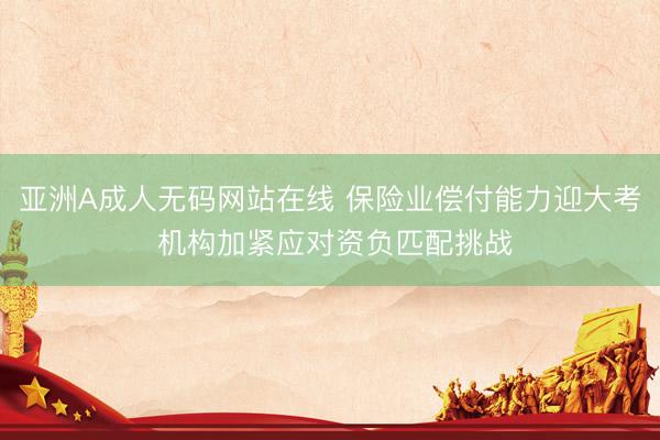 亚洲A成人无码网站在线 保险业偿付能力迎大考 机构加紧应对资负匹配挑战