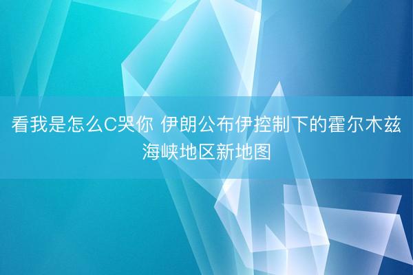 看我是怎么C哭你 伊朗公布伊控制下的霍尔木兹海峡地区新地图