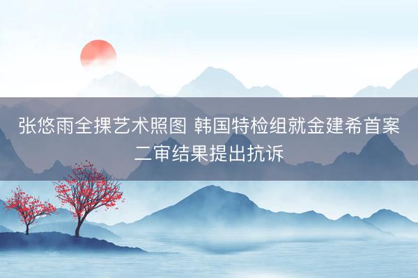 张悠雨全捰艺术照图 韩国特检组就金建希首案二审结果提出抗诉