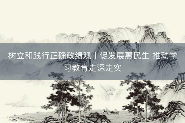 树立和践行正确政绩观丨促发展惠民生 推动学习教育走深走实