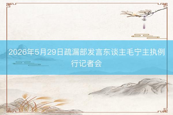 2026年5月29日疏漏部发言东谈主毛宁主执例行记者会