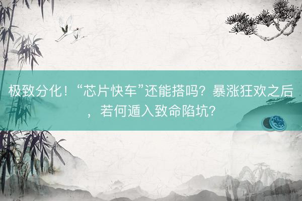 极致分化！“芯片快车”还能搭吗？暴涨狂欢之后，若何遁入致命陷坑？