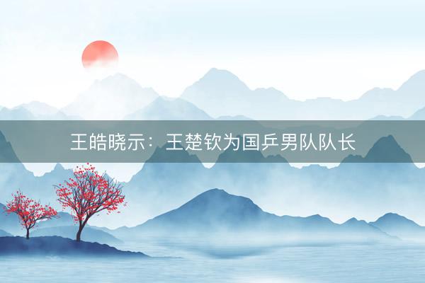 王皓晓示：王楚钦为国乒男队队长