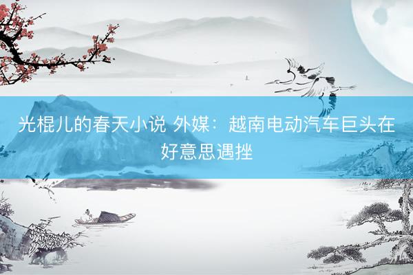光棍儿的春天小说 外媒：越南电动汽车巨头在好意思遇挫