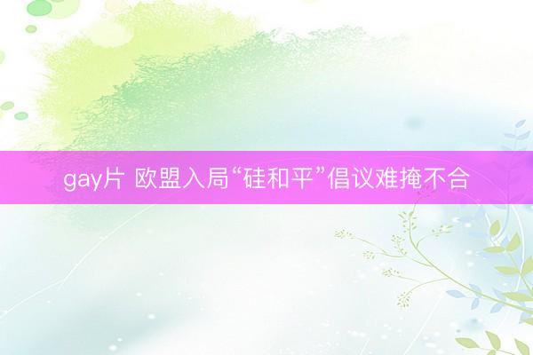gay片 欧盟入局“硅和平”倡议难掩不合
