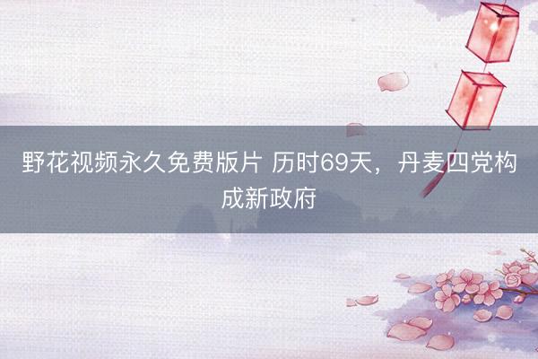 野花视频永久免费版片 历时69天，丹麦四党构成新政府