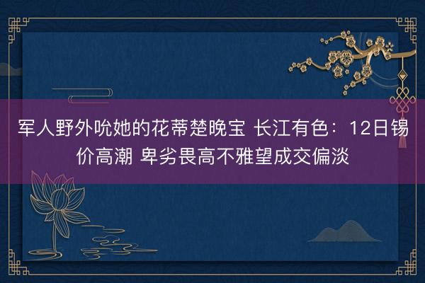 军人野外吮她的花蒂楚晚宝 长江有色：12日锡价高潮 卑劣畏高不雅望成交偏淡