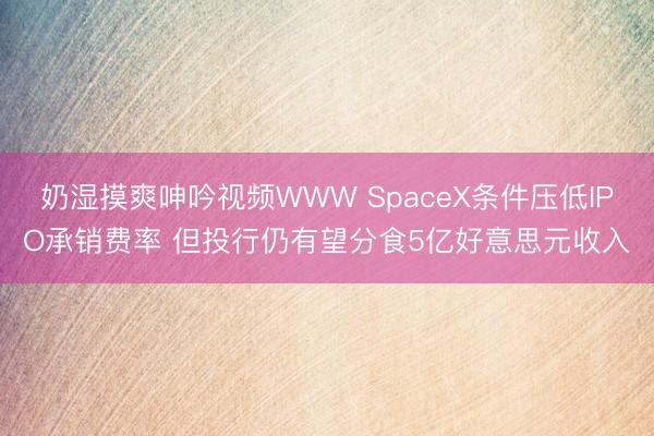奶湿摸爽呻吟视频WWW SpaceX条件压低IPO承销费率 但投行仍有望分食5亿好意思元收入