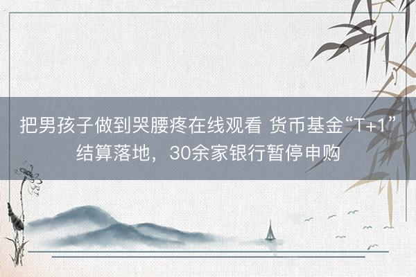 把男孩子做到哭腰疼在线观看 货币基金“T+1”结算落地，30余家银行暂停申购