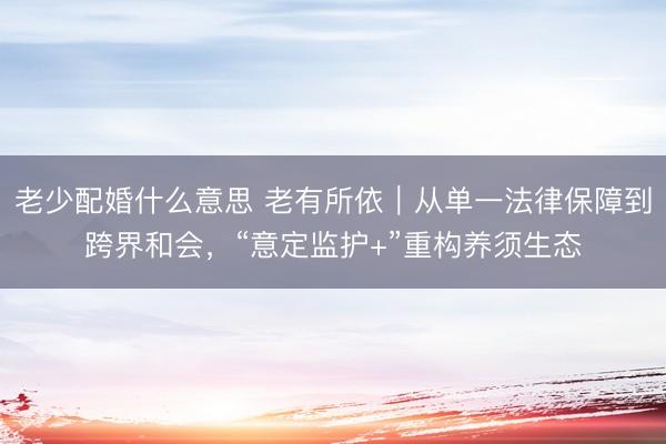 老少配婚什么意思 老有所依｜从单一法律保障到跨界和会，“意定监护+”重构养须生态