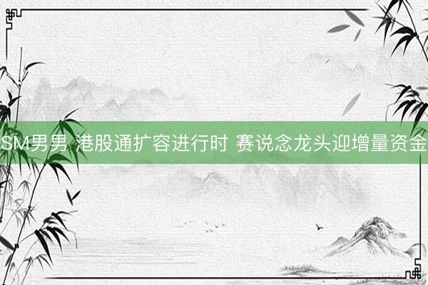 SM男男 港股通扩容进行时 赛说念龙头迎增量资金