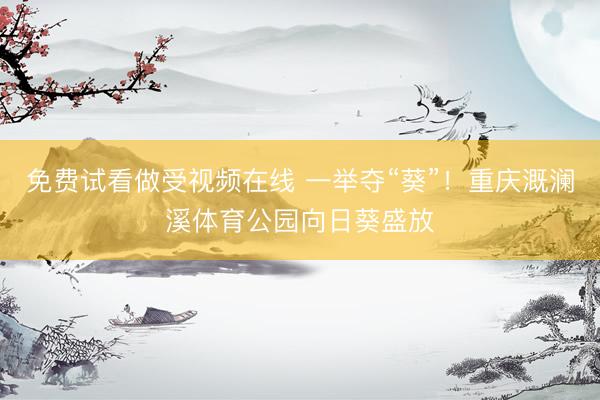 免费试看做受视频在线 一举夺“葵”!重庆溉澜溪体育公园向日葵盛放