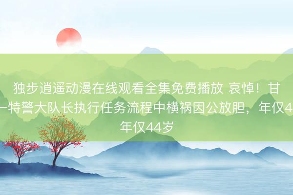独步逍遥动漫在线观看全集免费播放 哀悼！甘肃一特警大队长执行任务流程中横祸因公放胆，年仅44岁