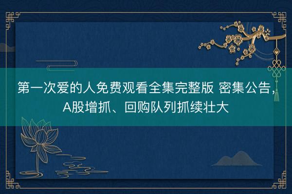 第一次爱的人免费观看全集完整版 密集公告,A股增抓、回购队列抓续壮大