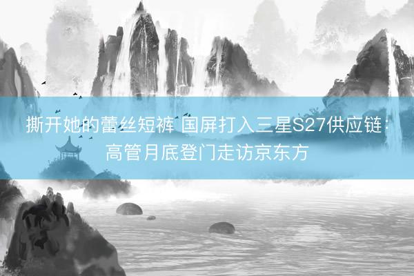 撕开她的蕾丝短裤 国屏打入三星S27供应链：高管月底登门走访京东方