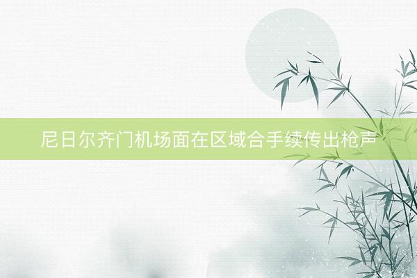 尼日尔齐门机场面在区域合手续传出枪声